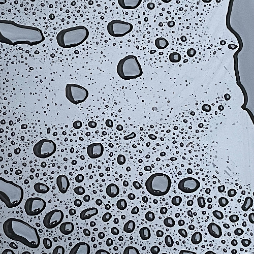 Traversing the Sea of Rain