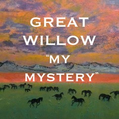 MY MYSTERY - GREAT WILLOW