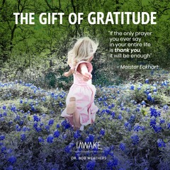 The Gift of Gratitude - SAMPLE