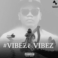 #VIBEZ&VIBEZ002@GVTOTHEONE