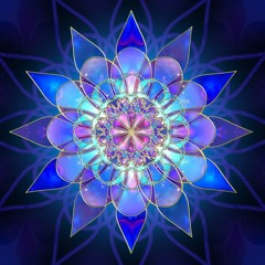 DanDoosh - Flower From Heaven