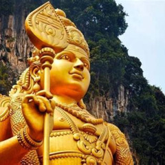 Review Special Price Kuala Selangor Fireflies Batu Caves Temple Malawati Hill Daytour With Dinner