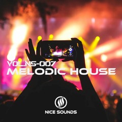 Melodic House Mix | Vol.NS.007 | Melodic Techno