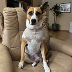 Riddim and other shit for the soul pt2