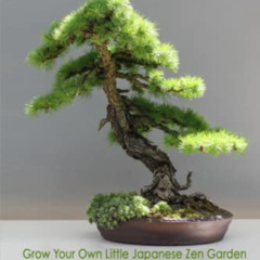 [View] EBOOK 💚 BONSAI - Grow Your Own Little Japanese Zen Garden: A Beginner’s Guide