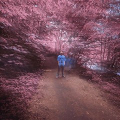 New life