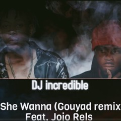 She Wanna (Gouyad Remix) Feat. Jojo Rels