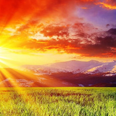 ||Sunshine|| - [prod. by LOBEATZZ]