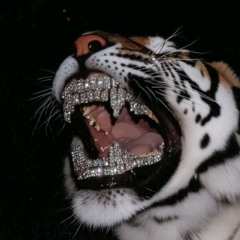 HIPHOP 2 - VIET IN MY BLOOD