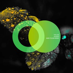 Taylan - Kyoshi (Amir Telem Remix)