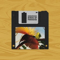 Observe22 - Birds Of Paradise