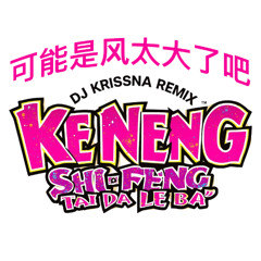 可能是风太大了吧 - DJ KRISSNA REMIX