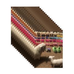 A Cryptic universe Vides