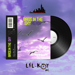 Lil Kay - Birds In The Sky Remix