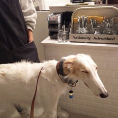 living proof (instrumental cover)