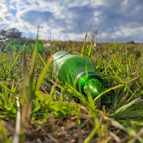 Deposit Return Scheme creating 500 jobs says Mark Ruskell MSP