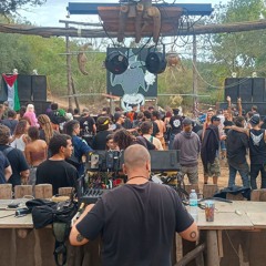 live extract WitchTek PT 2025