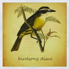 BIRDSONG DISCO [ 2015 ]