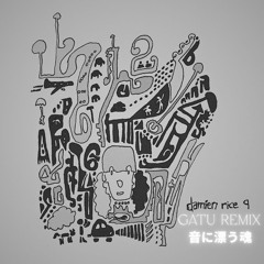 Damien Rice - 9 Crimes ( GATU Remix )