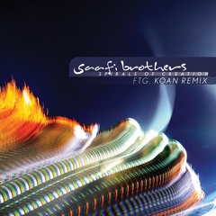 Saafi Brothers - Spirals of Creation EP