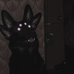 Etherxxl + Loxcy ~ Margiela Jacket P. Bloom7k「 HPMG exclusives 」