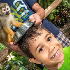Review Special Price Monkeyland And Plantation Safari Tour From Punta Cana