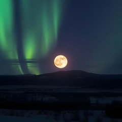 Aurora II
