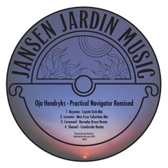 Oja Hendryks - Practical Navigator Remixed (Clips)