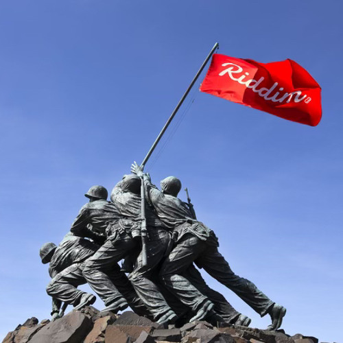 PNUT - START (3K FREE DOWNLOAD)