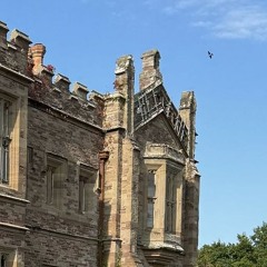 December 25 Dance & House