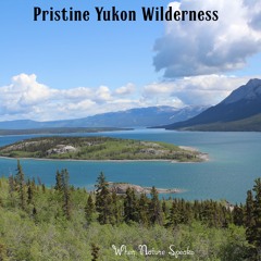 Pristine Yukon WIlderness