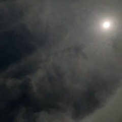 Things Which Owl Has Seen (demo)