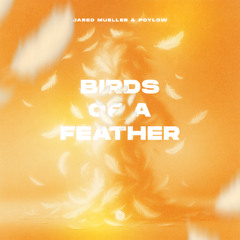 Jared Mueller & Poylow - Birds Of A Feather