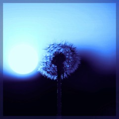 Heaven [Free Beat]