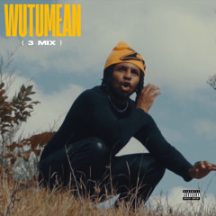 WUTUMEAN ( 3MIX )