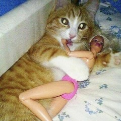 fünkkk.