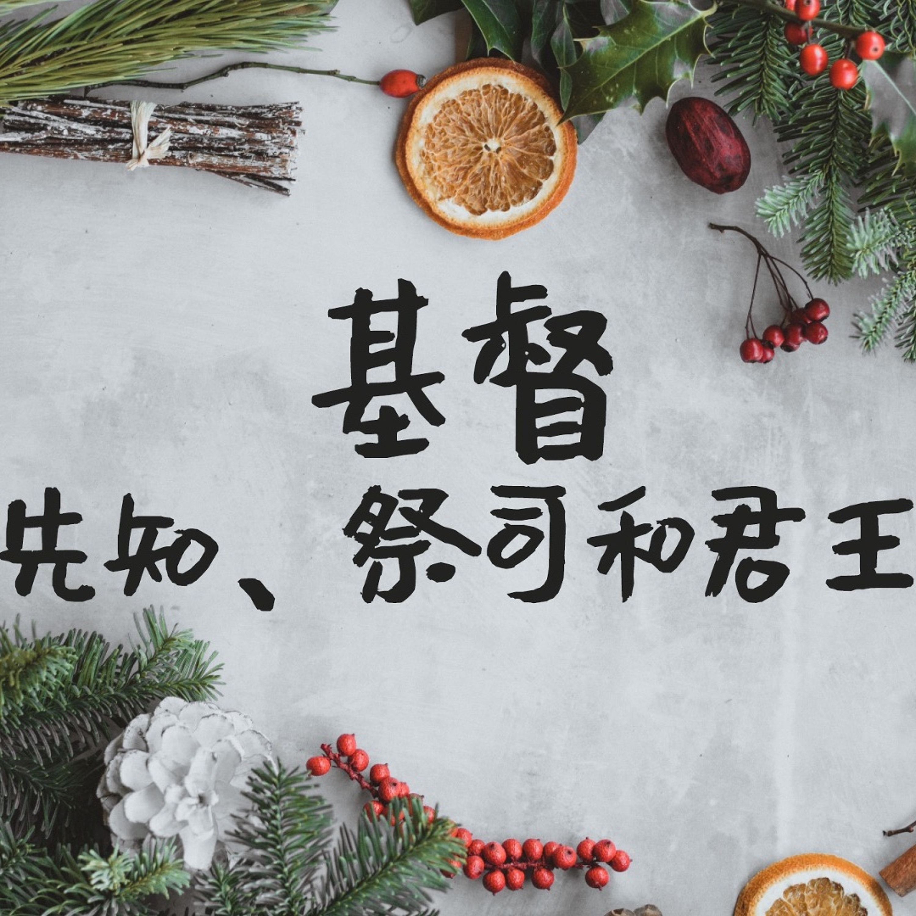 12/20/2020【基督——先知、祭司和君王】君王——王唯权 牧师（《太》1:18-25） episode artwork