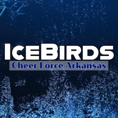 Cheer Force Arkansas IceBirds 2023-24 (Cyclone Package)