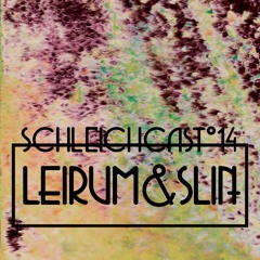 Schleichcast°14 | LEIRUM & SLIN