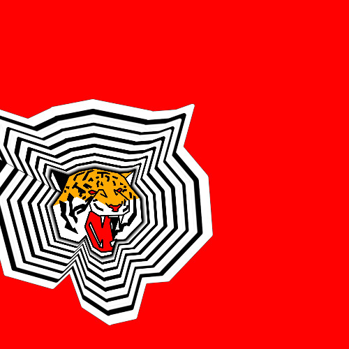 Larakoune - Tiger Behaviour