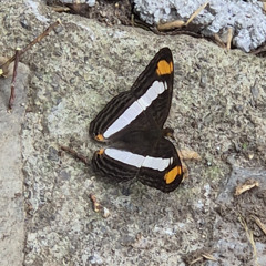 Dame un beso (prod. PlanetJayR & 1gCamo)