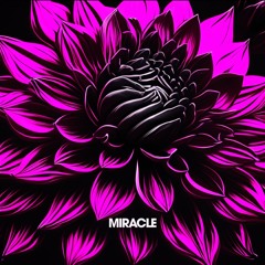 Miracle (Extended)