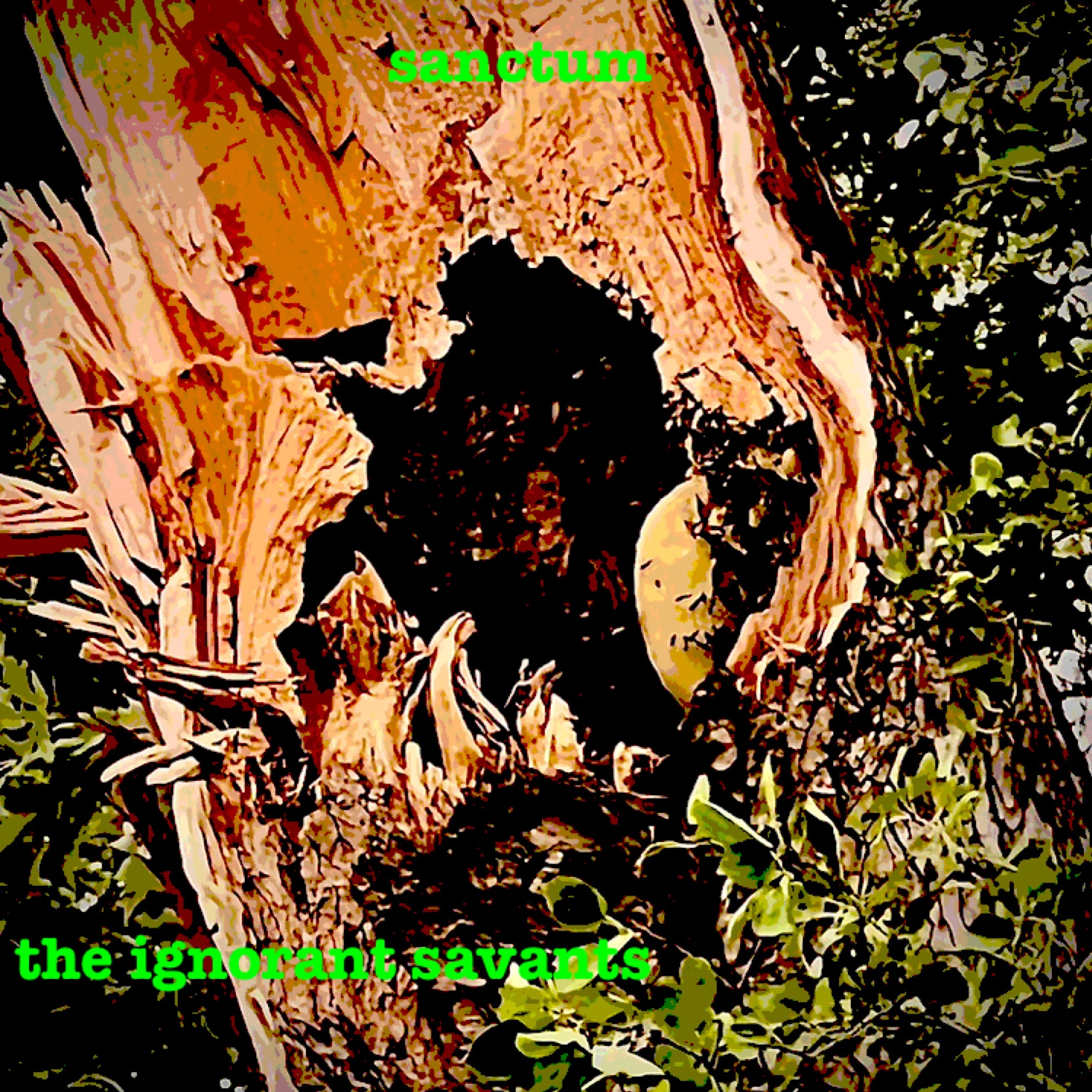 the ignorant savants
