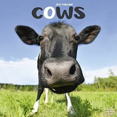 [GET] PDF 📬 2023 Cows Wall Calendar by  Avonside Publishing Ltd [KINDLE PDF EBOOK EP