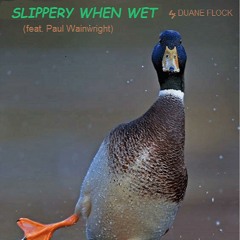 SLIPPERY WHEN WET