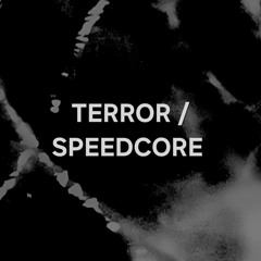 TERROR / SPEEDCORE