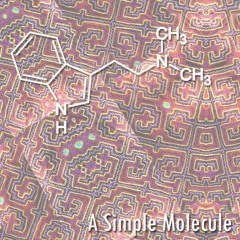 A Simple Molecule