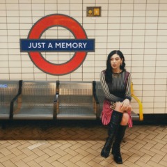 Just A Memory - Tara Flanagan