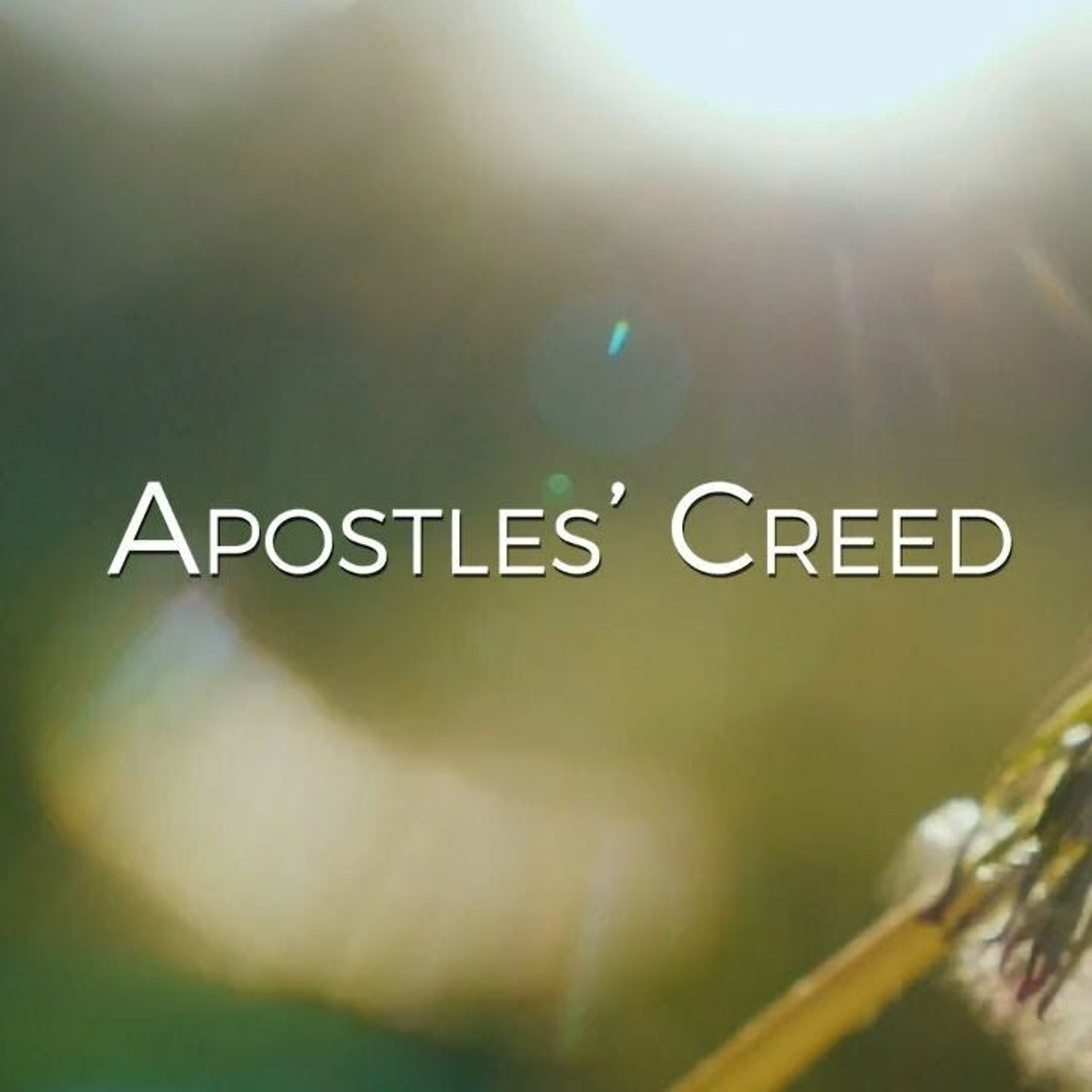 The Apostles' Creed - The Holy Catholic Church (11/27/2022)