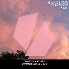 Hive Audio 123 - Summer Slices 2022